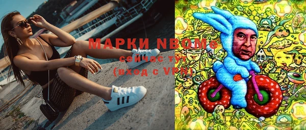 PSILOCYBIN Лиски