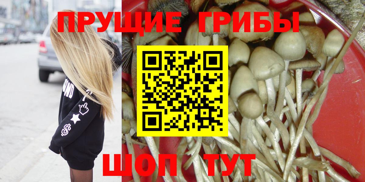 Галлюциногенные грибы Magic Shrooms  Вход с VPN  Одинцово 