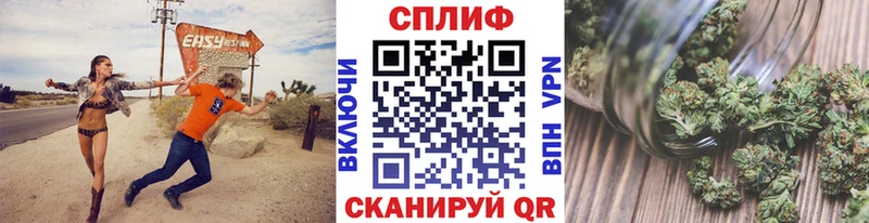 маркетплейс наркотические препараты  Одинцово  Бошки Шишки сатива 